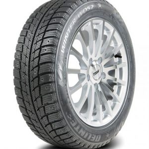 Delinte WINTER WD52