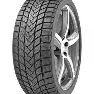 Delinte WINTER WD6
